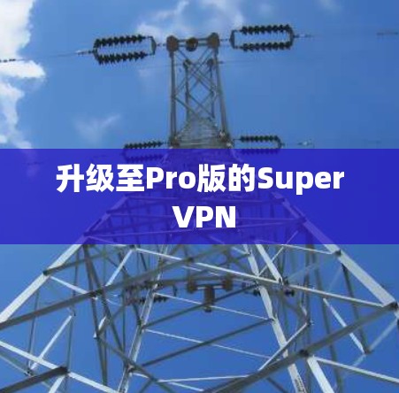 升级至Pro版的Super VPN 升级至Pro版的Super VPN