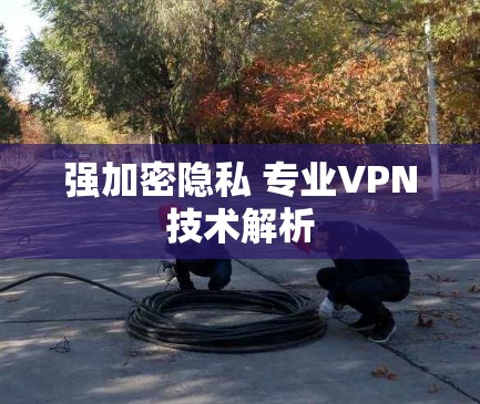 强加密隐私 专业VPN技术解析