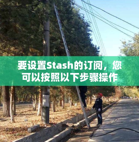 要设置Stash的订阅，您可以按照以下步骤操作