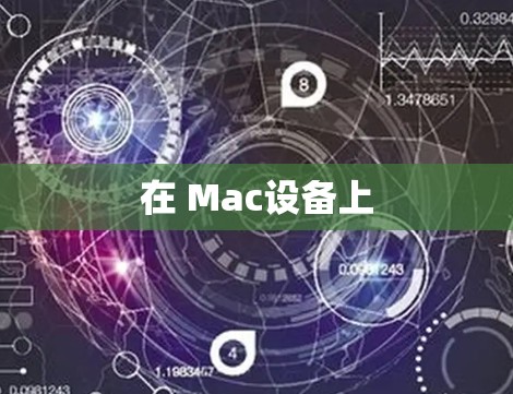 在 Mac设备上