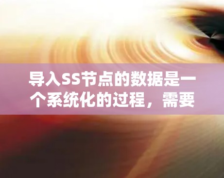 导入SS节点的数据是一个系统化的过程，需要仔细进行参数设置和数据处理。以下是详细的步骤指南