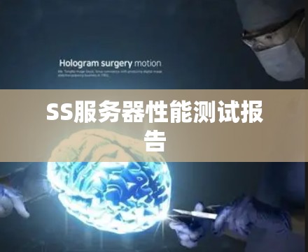 SS服务器性能测试报告