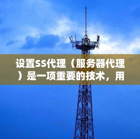设置SS代理（服务器代理）是一项重要的技术，用于管理用户和网站的访问。以下是一个系统化的设置技巧指南，涵盖从基础到高级的步骤