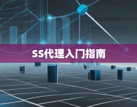SS代理入门指南