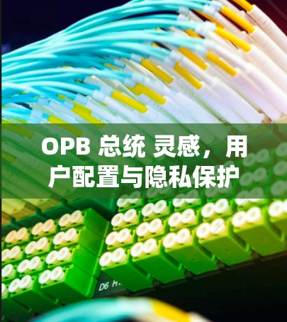 OPB 总统 灵感，用户配置与隐私保护