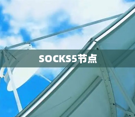 SOCKS5节点