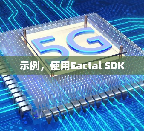 示例，使用Eactal SDK