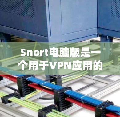 Snort电脑版是一个用于VPN应用的工具，以下是逐步的使用指南