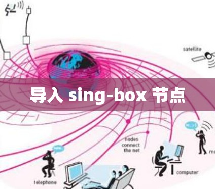 导入 sing-box 节点