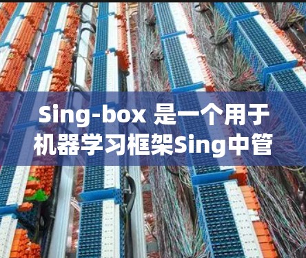 Sing-box 是一个用于机器学习框架Sing中管理节点的工具，提供了一套简洁的配置方法来管理节点的运行状态、环境设置和性能参数。以下是Sing-box 节点配置的详细步骤和方法