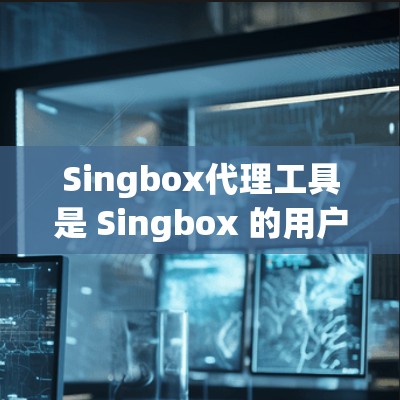 Singbox代理工具是 Singbox 的用户管理代理的工具，帮助用户高效和安全地管理代理。以下是使用Singbox代理工具的详细步骤