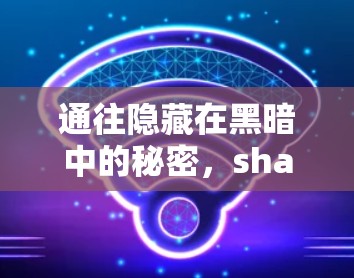 通往隐藏在黑暗中的秘密，shadowsocks VPN 真的能让你轻松访问公司内部服务器吗？