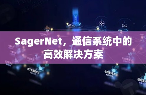 SagerNet，通信系统中的高效解决方案