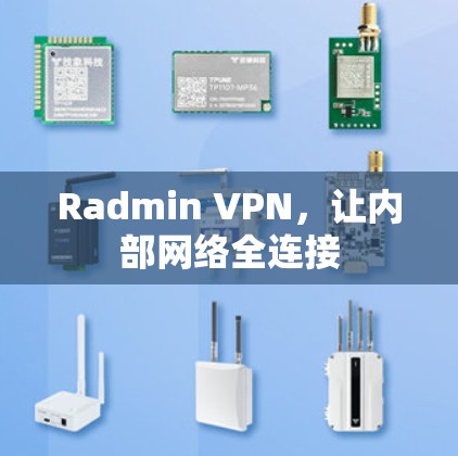 Radmin VPN，让内部网络全连接