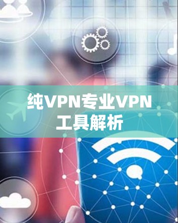 纯VPN专业VPN工具解析
