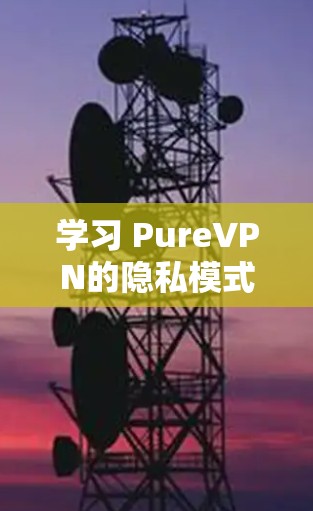 学习 PureVPN的隐私模式和安全配置，可以按照以下步骤进行