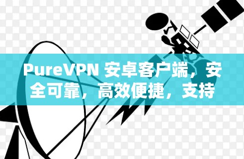 PureVPN 安卓客户端，安全可靠，高效便捷，支持多种协议，完美支持移动设备