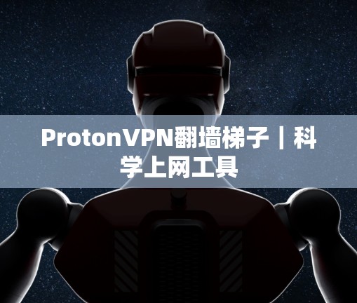 ProtonVPN翻墙<strong>梯子</strong>｜科学上网工具