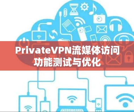 PrivateVPN流媒体访问功能测试与优化