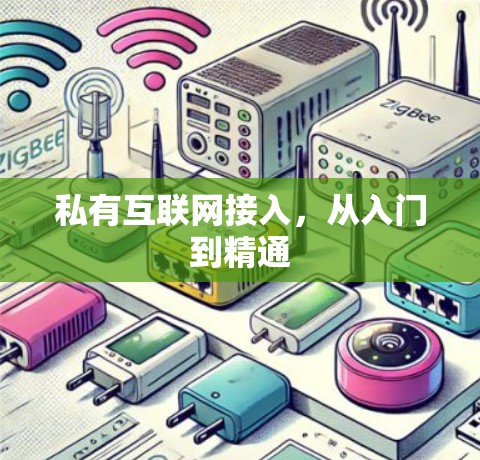 私有互联网接入，从入门到精通