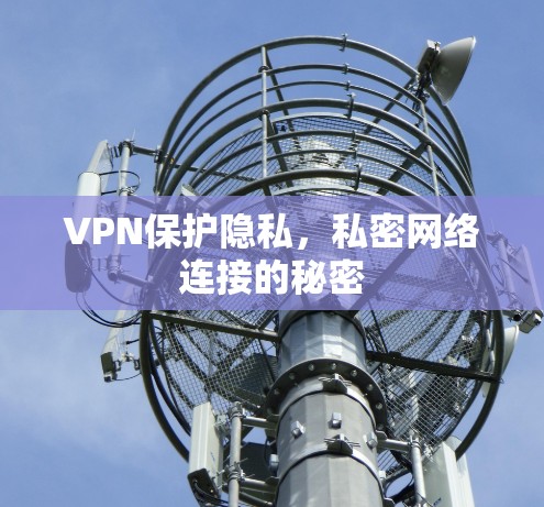 VPN保护隐私,私密网络连接的秘密 VPN保护隐私,私密网络连接的秘密