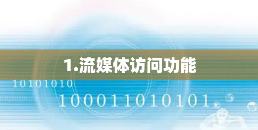 1.流媒体访问功能 1.流媒体访问功能