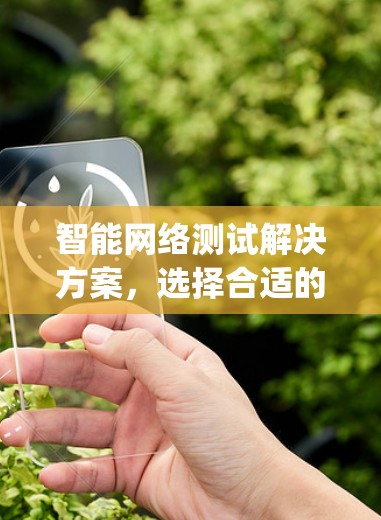 智能网络测试解决方案，选择合适的Ping测试软件
