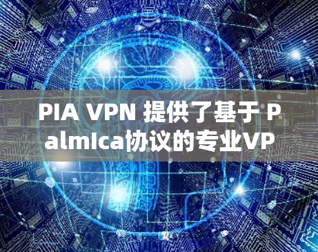 PIA VPN 提供了基于 PalmIca协议的专业VPN客户端，适合在本地计算机上构建VPN。以下是对该客户端的详细分析