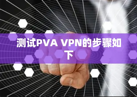 测试PVA VPN的步骤如下 测试PVA VPN的步骤如下