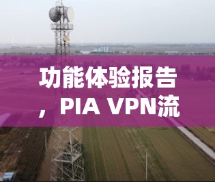 功能体验报告,PIA VPN流媒体访问 功能体验报告,PIA VPN流媒体访问