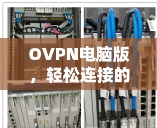 OVPN电脑版，轻松连接的高效网络安全解决方案