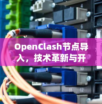 OpenClash节点导入，技术革新与开源生态的碰撞