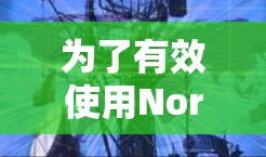 为了有效使用Norton VPN<strong>翻墙</strong>软件，以下是一个详细的步骤指南，帮助您顺利完成<strong>翻墙</strong>过程