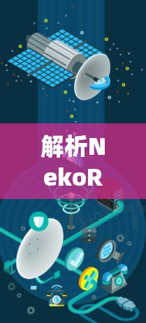 解析NekoRay配置文件，从理解到优化