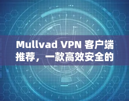 Mullvad VPN 客户端推荐，一款高效安全的 VPN 解决方案