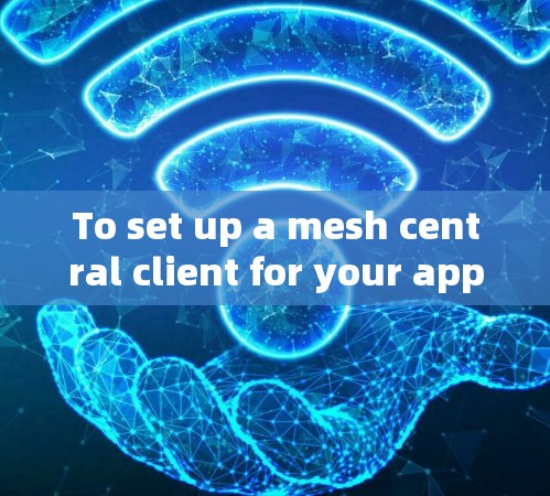 To set up a mesh central client for your application,follow these organized steps: