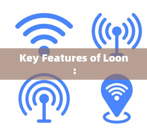 Key Features of Loon: