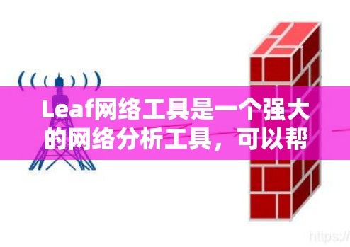 Leaf网络工具是一个强大的网络分析工具，可以帮助你深入了解网络结构和行为。以下是使用Leaf进行网络分析的步骤指南