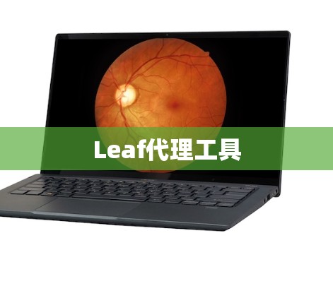 Leaf代理工具