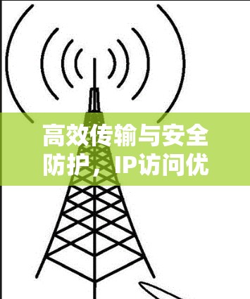 高效传输与安全防护，IP访问优化软件解决方案