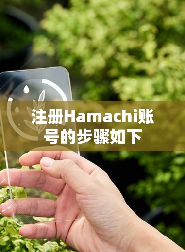 注册Hamachi账号的步骤如下