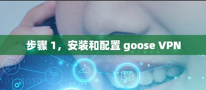 步骤 1，安装和配置 goose VPN