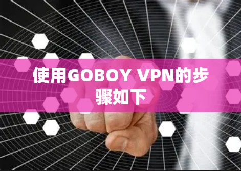 使用GOBOY VPN的步骤如下