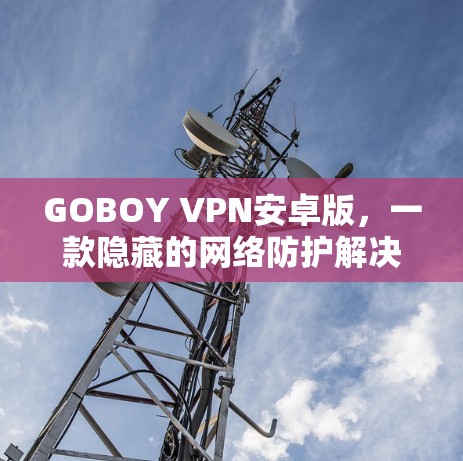 GOBOY VPN安卓版，一款隐藏的网络防护解决方案