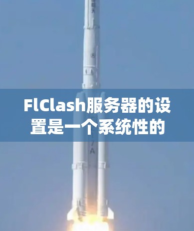 FlClash服务器的设置是一个系统性的过程，分为以下几个步骤进行