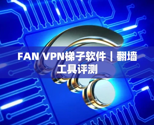 FAN VPN<strong>梯子</strong>软件｜翻墙工具评测