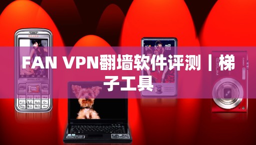FAN VPN翻墙软件评测｜<strong>梯子</strong>工具