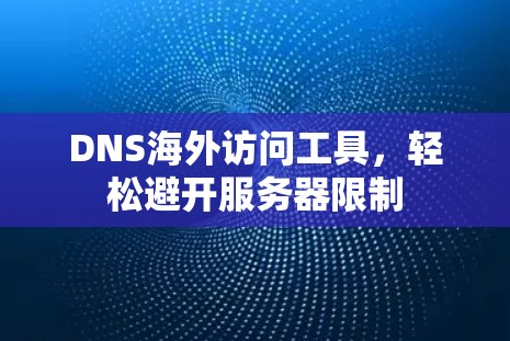 DNS海外访问工具，轻松避开服务器限制