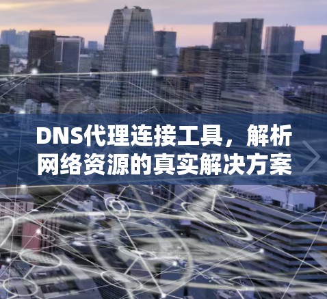 DNS代理连接工具，解析网络资源的真实解决方案